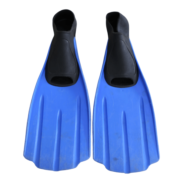 Blue and black diving fins